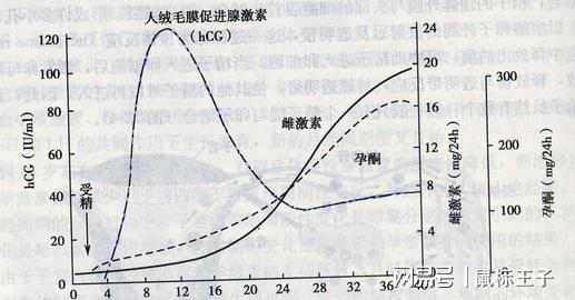 澳门新葡孕妇也能变最美来看看美国独具一格的孕妇选美大赛(图9)