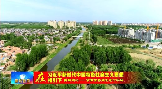 澳门新葡廊坊广电·关注丨生态环境联防联治持续深化 三地共享更多碧水蓝天(图9)