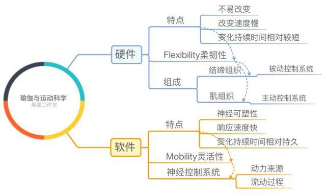 瑜伽到底在练什么？用运动科学揭开瑜伽体式的神秘面纱(图8)