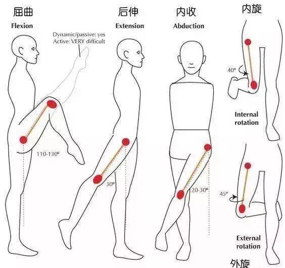 澳门新葡把开髋进行到底！这组“靠墙”的瑜伽序列让你轻松完成(图5)