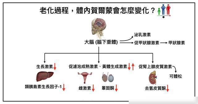 25岁「俄罗斯奥黛丽赫本」的身材和颜值：太不真实了！(图9)