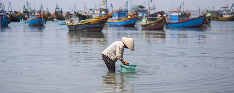 海洋牧场是什么 海洋牧场的好处是什么(图1)